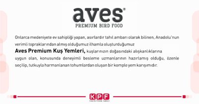 avess-text
